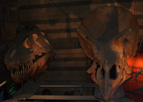 Natural History Museum